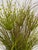 Mid-Century Modern Marmite Faux Grass Arrangement, Vintage For Sale - Image 11 of 12