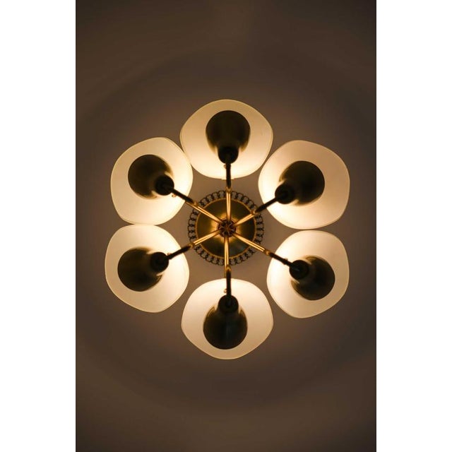 Gold Scandinavian Ceiling Lamp in Opaline Glass and Brass by Carl Fagerlund, 1950s For Sale - Image 8 of 13