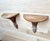 1970s Carved Wood Wall Shelves / Brackets From Italy by Decorative Crafts, a Pair For Sale - Image 4 of 8