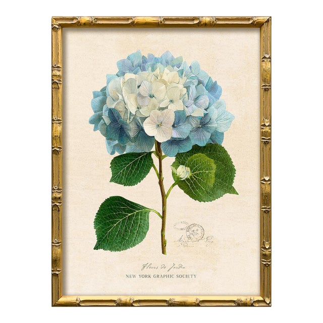 Reproduction Framed Blue Hydrangea Giclee Print II For Sale