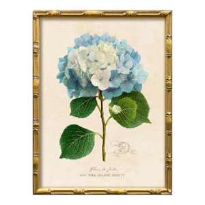 Reproduction Framed Blue Hydrangea Giclee Print II