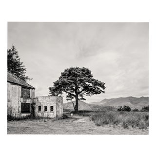 Guy Sargent, Killarney, Archival Pigment Print For Sale