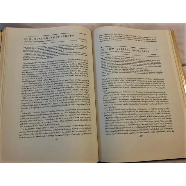 Paper Natural History of American Birds of Eastern & Central America Book For Sale - Image 7 of 11
