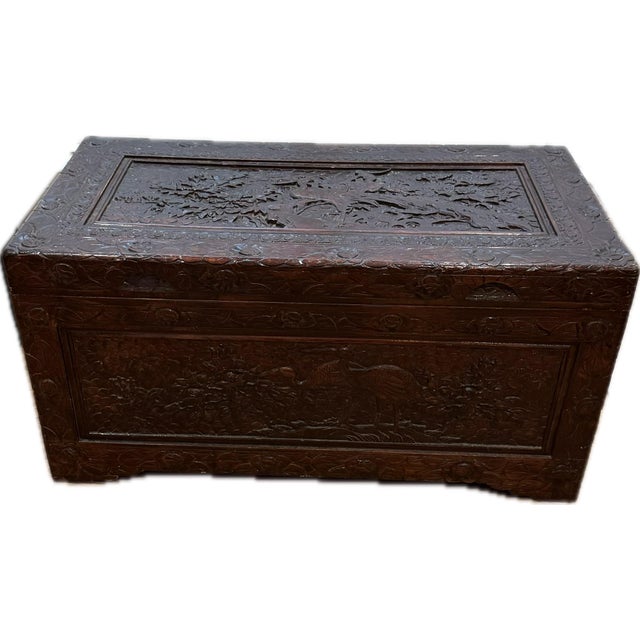 Early 20th Century Vintage Large Chinese Carved Camphor Wood Storage Chest For Sale - Image 5 of 12