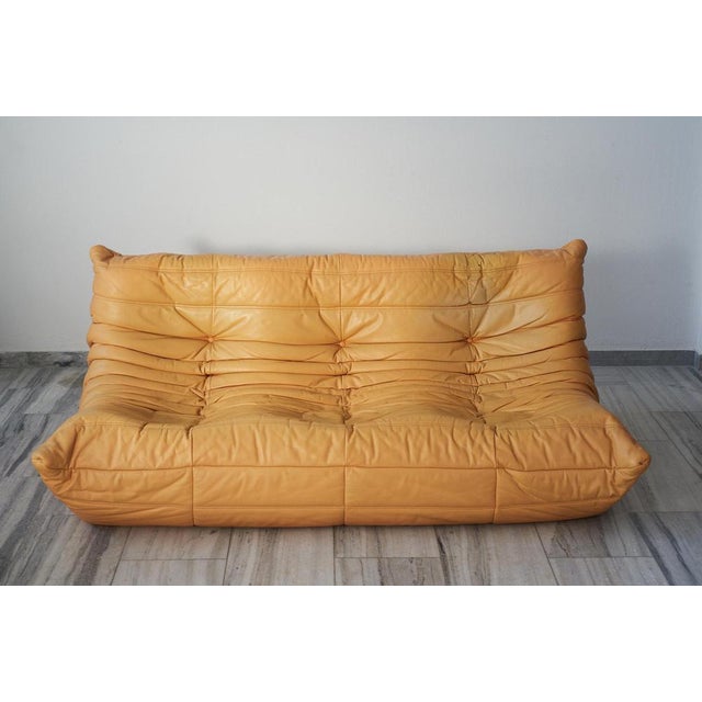 Togo toffee leather 3-seater sofa by Michel Ducaroy for Ligne Roset, 1973. A Ligne Roset classic of all-foam cushion...