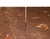 Contemporary Silvestrin Coffee Table in Jurassic Fossil Stone by Nerinea For Sale - Image 3 of 7