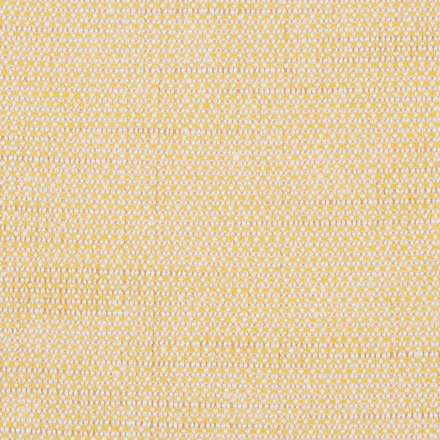 Schumacher Schumacher Camarillo Weave Indoor/Outdoor Fabric in Yellow For Sale - Image 4 of 4