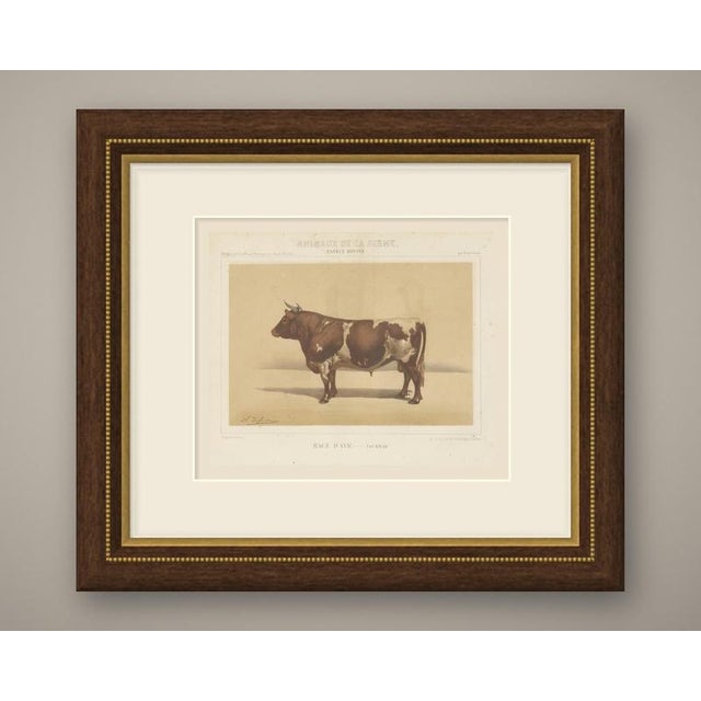 This is an original antique chromolithograph, printed in color from several lithographic stones, from victor borie's...