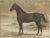 O. Eerelman, Russian Half-Blood Horse, 1898, Chromolithograph For Sale