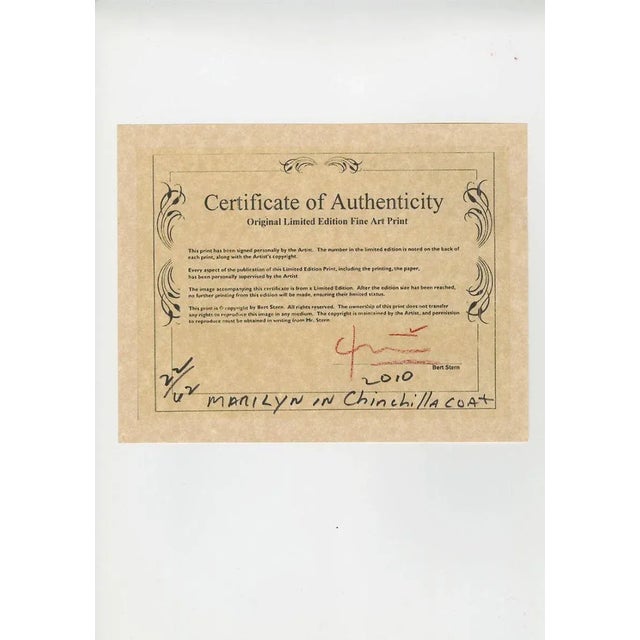 Bert Stern, Marilyn Monroe in Chinchilla Coat, 2010, Paper For Sale - Image 3 of 5