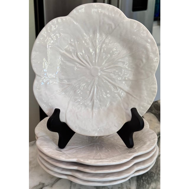 White Vintage Bordallo Pinheiro Cabbage White Luncheon Plates, Rimmed - Set of 5 For Sale - Image 8 of 8