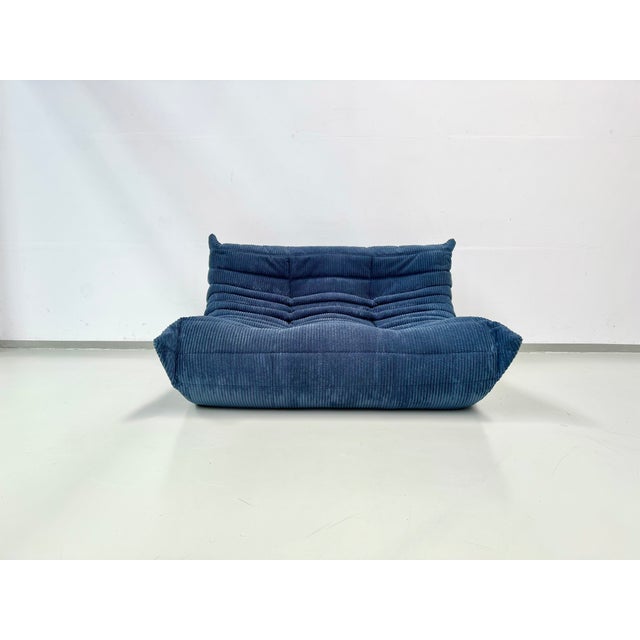 French Togo 2-Seater Sofa in Blue Corduroy attributed Michel Ducaroy for Ligne Roset, 1970s For Sale - Image 12 of 12