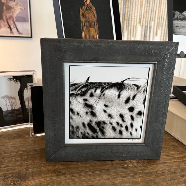 "Spotted Mane" Limited Edition Print by Rob Brinson For Sale - Image 9 of 13