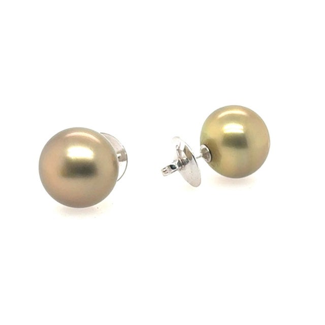 16.1mm Golden South Sea Pearl Studs on 18k posts and custom backs.