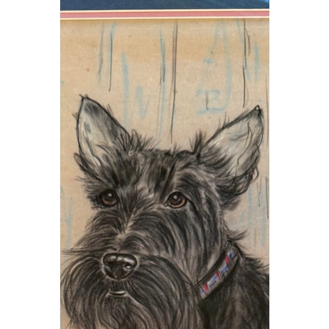 Original Pastel Portrait of Scottish Terrier Dog by Gladys Emerson Cook, C 1950 For Sale - Image 11 of 11