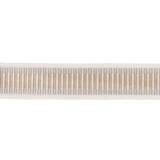 Schumacher Litchfield Braid Trim In Dove For Sale