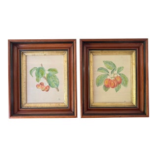 19th-Century American Folk Art Fruit Still Life Theorem Paintings on Velvet - A Matched Pair, Signed Jr For Sale