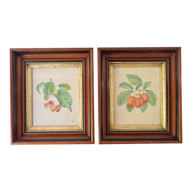 19th-Century American Folk Art Fruit Still Life Theorem Paintings on Velvet - A Matched Pair, Signed Jr For Sale