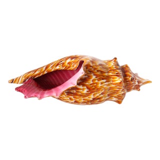 Large Italian Murano Glass Seashell For Sale