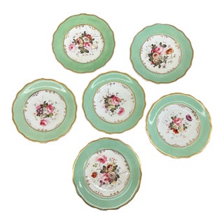 19th Century Antique English Botanical Plates - Set of 6 For Sale