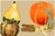 Contemporary Contemporary Autumn Bounty Paper Placemat Pads- Set of 30 Perfect for the Thanksgiving Table For Sale - Image 3 of 3