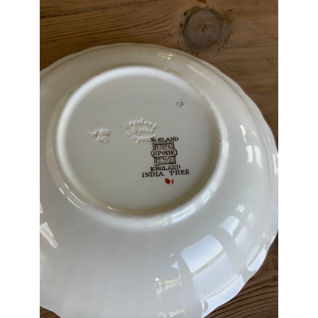 Early 20th Century Antique Copeland Spode England “India Tree” Orange Rust and Gold Scallop-Edged Coupe/Cereal Bowl For Sale - Image 5 of 7