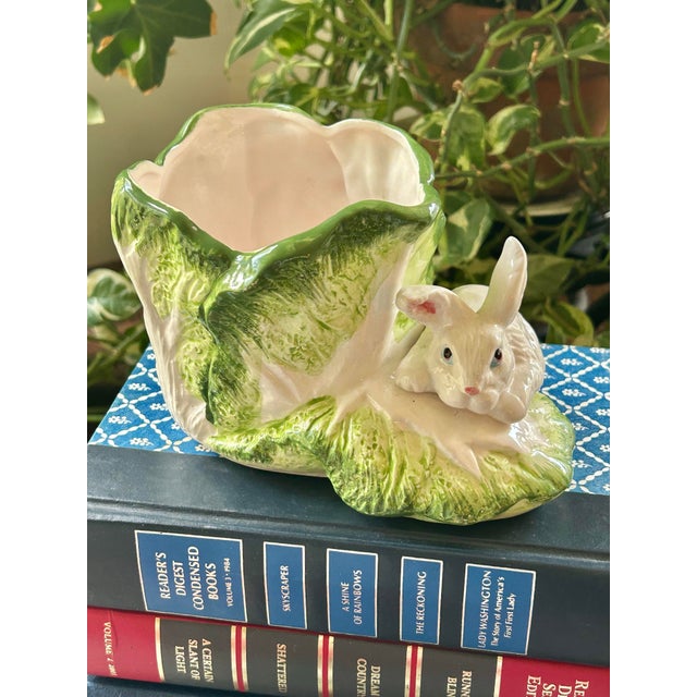 This crouching bunny rabbit is peaking out from behind a cabbage plant ready to decorate your home for spring. This...