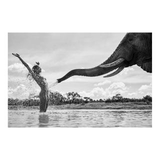 Paul Giggle “Elephant Shower” – Signed Limited Edition 17/150 Lumas Acrylic Mounted Print For Sale