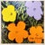 After Andy Warhol, Flowers, 1980s, Lithograph For Sale - Image 3 of 10