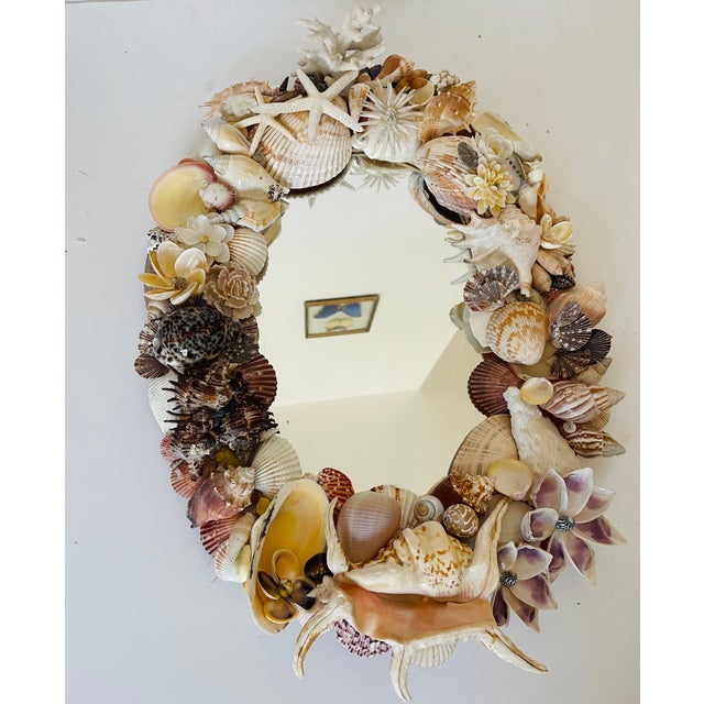 Fabulous sea Shell arranged wall mirror. Unique selected sea Shell collection.