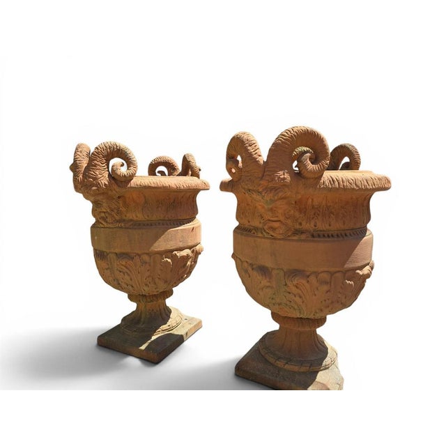 Impruneta Terracotta Urns with Faun Heads and Acanthus Leaves, Italy, 1950, Set of 4 For Sale - Image 6 of 9
