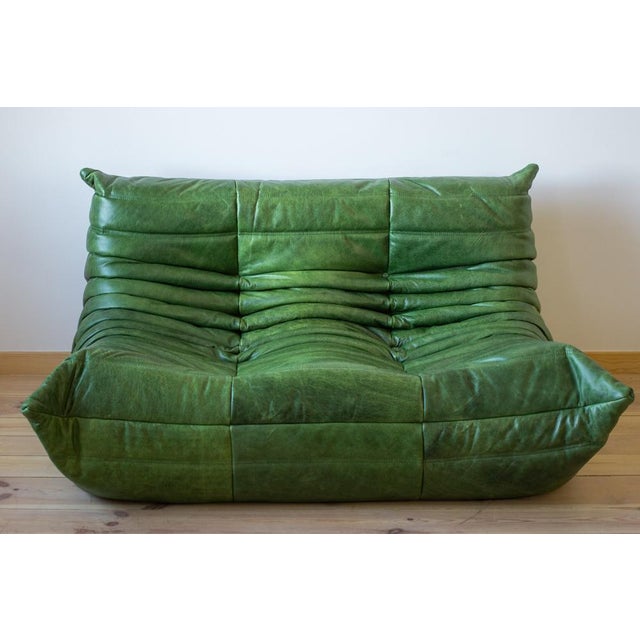 Dubai Green Leather Togo Lounge Chair, Corner and 2-Seat Sofa by Michel Ducaroy for Ligne Roset, 1979, Set of 3 For Sale - Image 6 of 14