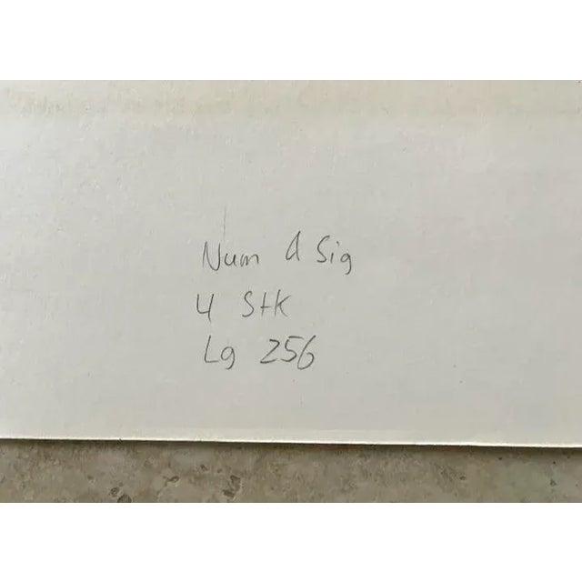 1967 Abstract Limited Edition Lithograph Numbered 18/50 by Don Cameron For Sale - Image 4 of 9