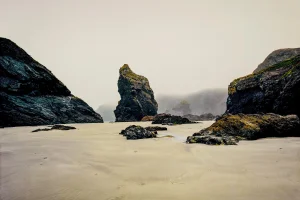 Guy Sargent, The Lizard, Photograph