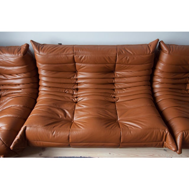 Togo Set in Cognac Brown Leather, 1970s, Set of 5 For Sale - Image 14 of 18