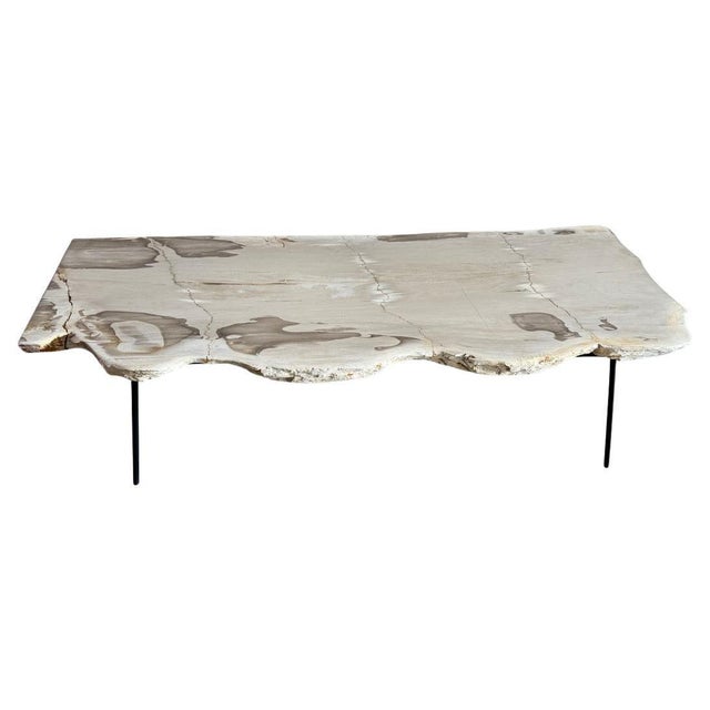 Andrianna Shamaris Minimalist Live Edge Petrified Wood Coffee Table For Sale - Image 15 of 18