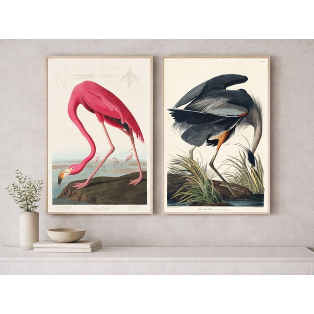 A curated pairing of two iconic ornithological studies from Birds of America (1827) by John James Audubon, featuring the...