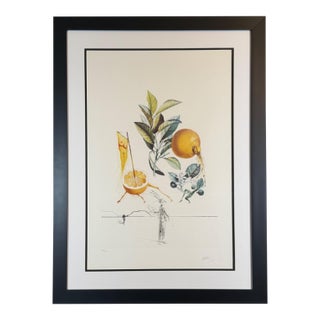1960s Dali FlorDali/Les Fruits Grapefruit Hand Signed Numbered Etching Surreal Art For Sale