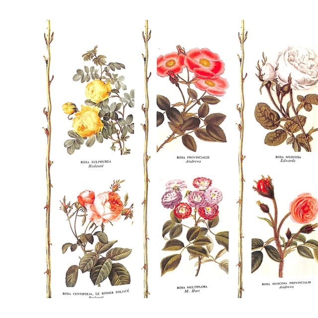 "The Saturday Book 11th Year" 1951 Russell, Leonard [Edited By] For Sale In New York - Image 6 of 11