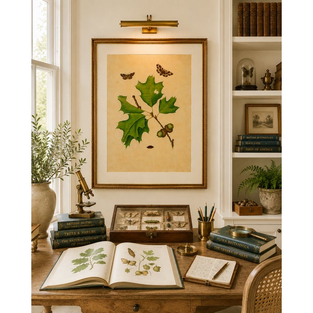 Oak Leaf & Acorn Study With Moths, 1797 Vintage Art Print Reproduction, 40" X 60" For Sale - Image 9 of 11