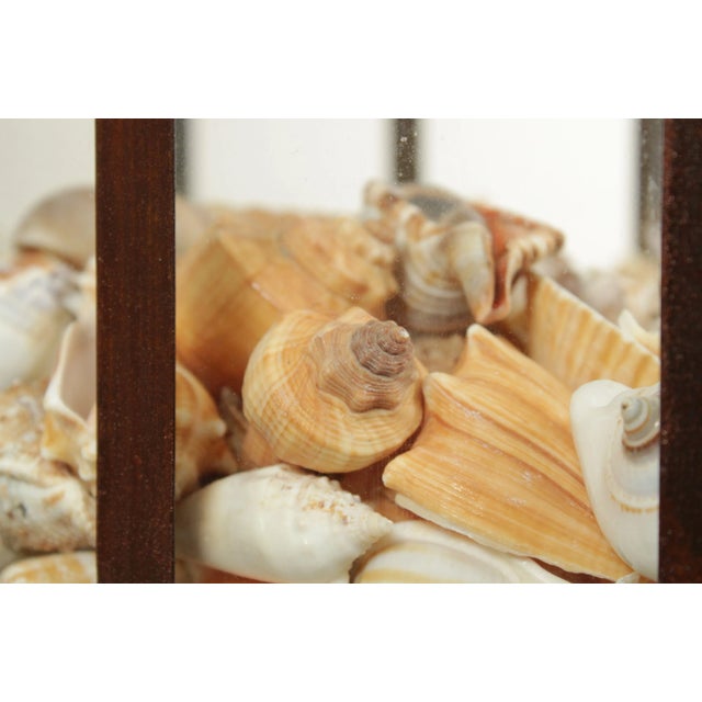 Late 20th Century Steel & Glass Frame Greenhouse Terrarium on Stand For Sale - Image 10 of 12