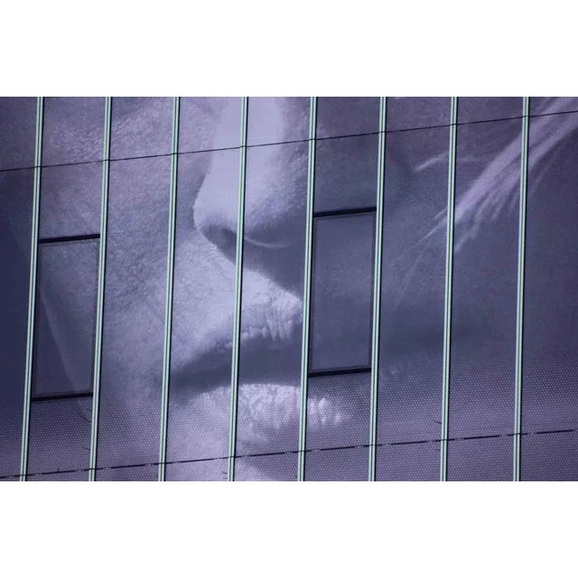 Woman Detail 2 is a beautiful photograph on pearl photographic paper realized by the artist Cindi Emond in 2016. Limited...