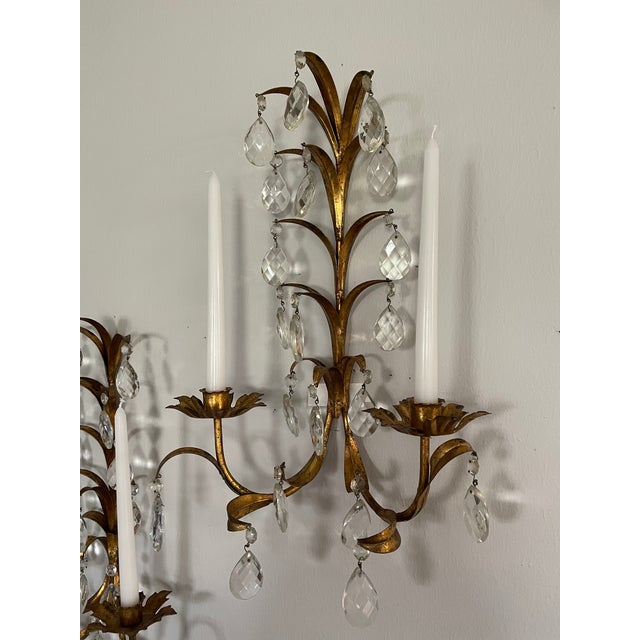 Vintage Mid Century 19" Italian Gilded Tole and Crystals Candle Sconces - A Pair For Sale - Image 17 of 18