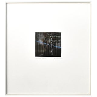 "Flourescent Habitat" Photograph by Pat Sherman For Sale