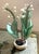 Carved polychrome lily of the valley. Potted in a small oblong shaped pot with little risers.