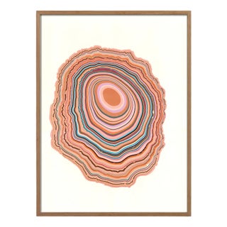 Pernille Snedker, Salmon Woodrings #05, Archival Giclée Fine Art Print For Sale