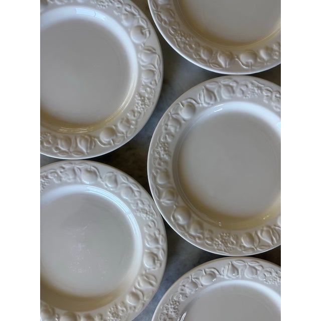 Traditional Mid 20th Century Italian Windsor Browne Dinner Plates With Embossed Fruit Rim - Set of 5 For Sale - Image 3 of 9
