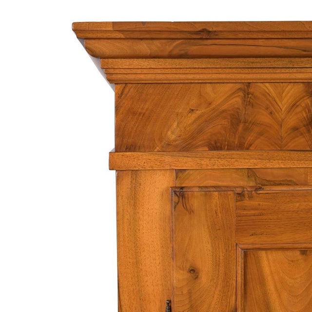 Biedermeier Walnut Cabinet, Rheinhessen, 1830s For Sale - Image 4 of 11