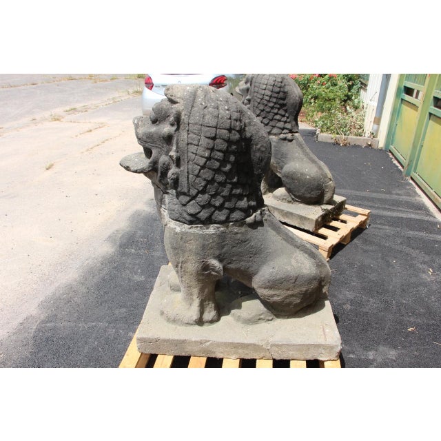 19th Century 20th Century Foosball Dogs by Louis Guingot, 1890s, Set of 2 For Sale - Image 5 of 11