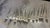 Community 1920s Silver Community Flight Silverware Set From Early - Set of 57 For Sale - Image 4 of 5
